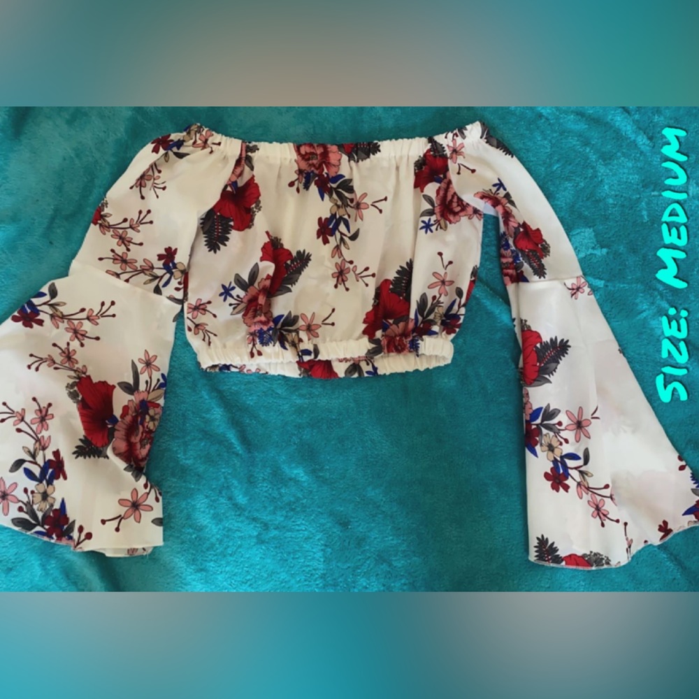 Of the Shoulders Elegant Crop Top